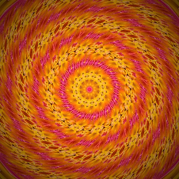 Dalya — Spiral · 12