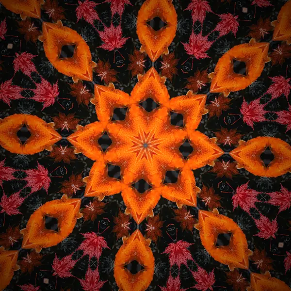 Koi havuzu — Radyal · 8